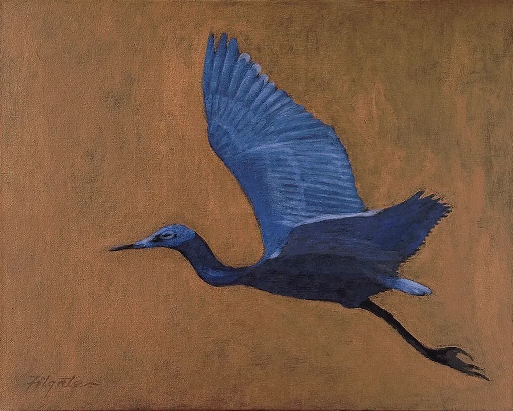 Blue Heron Flight