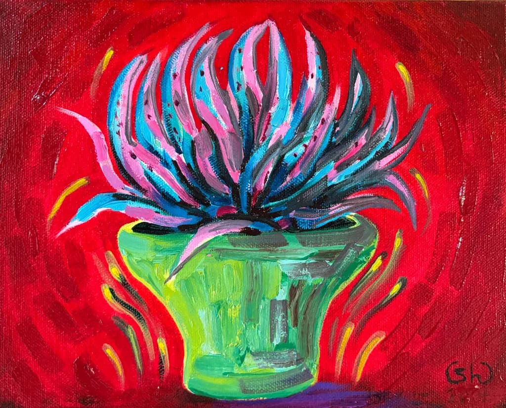 Tiger Succulent