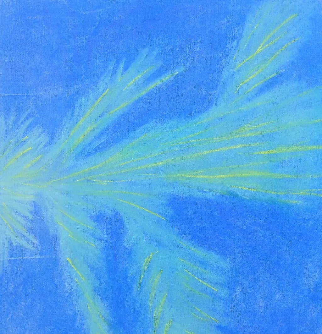 Pine Tree & Blue Sky