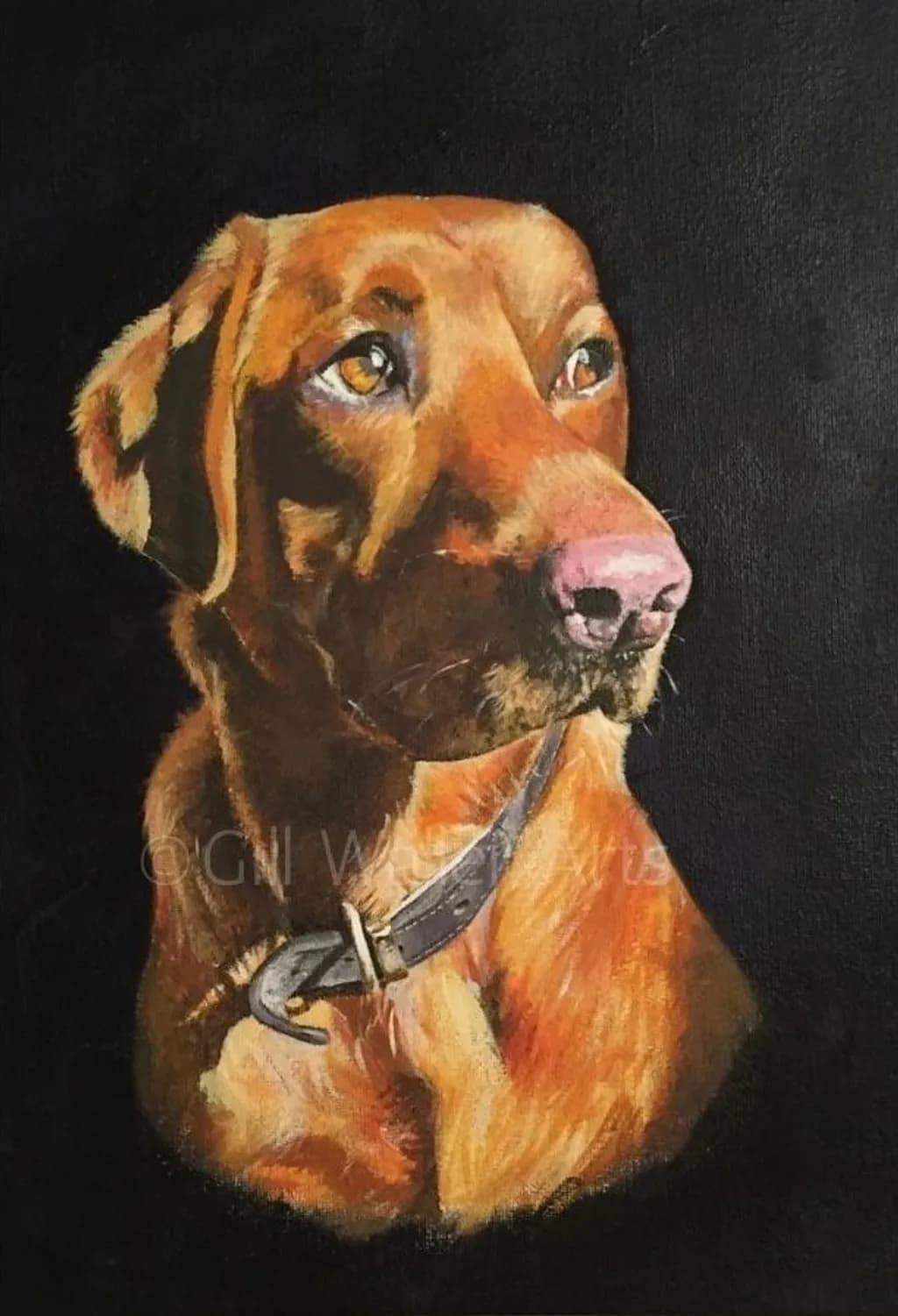 Wilson Portrait