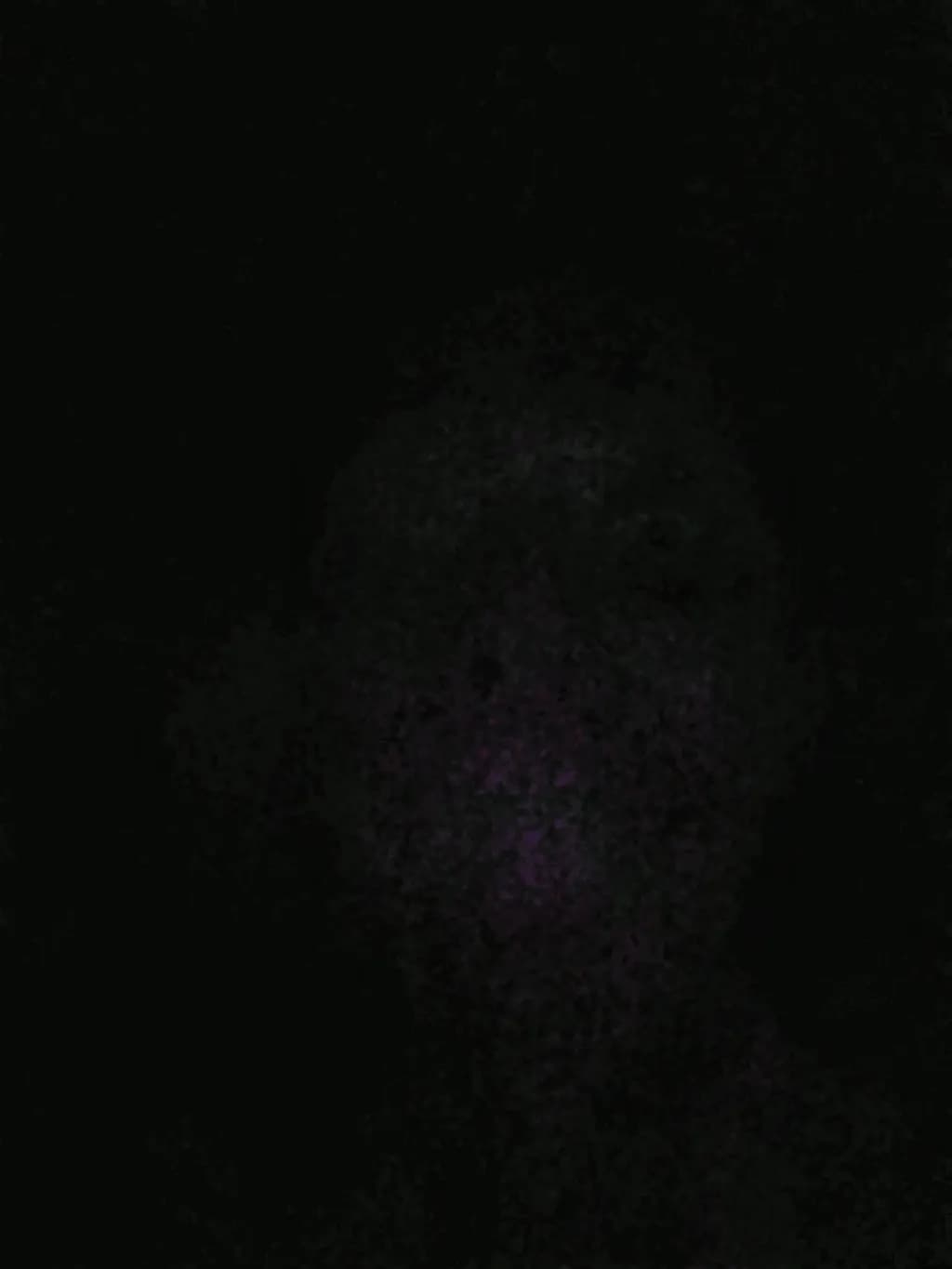 Veiled Shadow