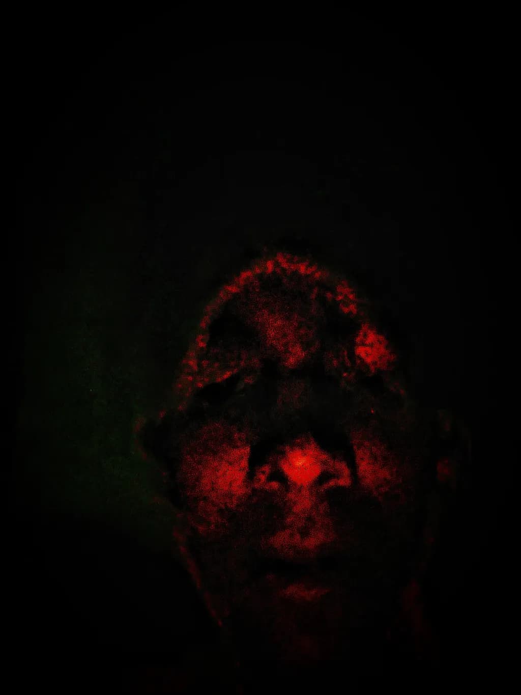 Crimson Veil
