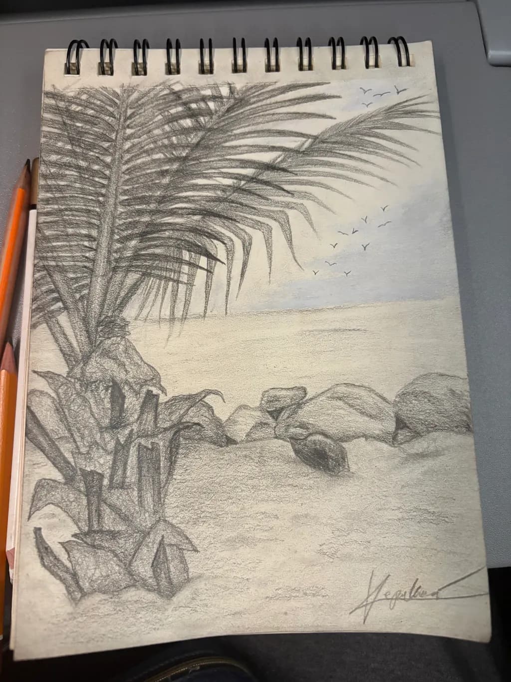Coastal Palm Breeze
