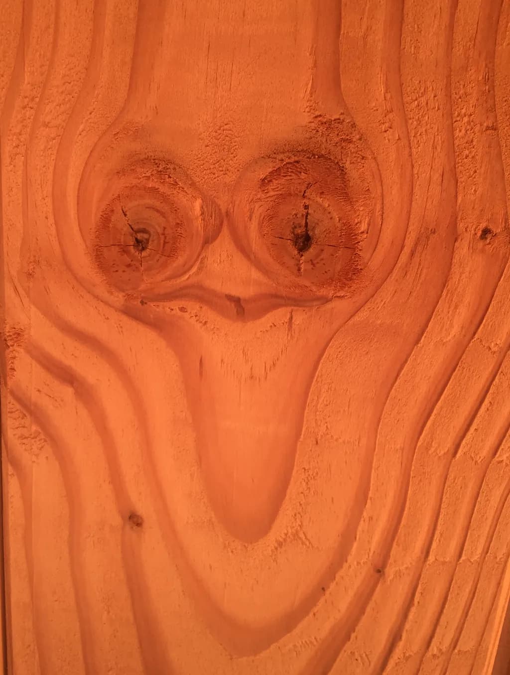 Woodland Gaze