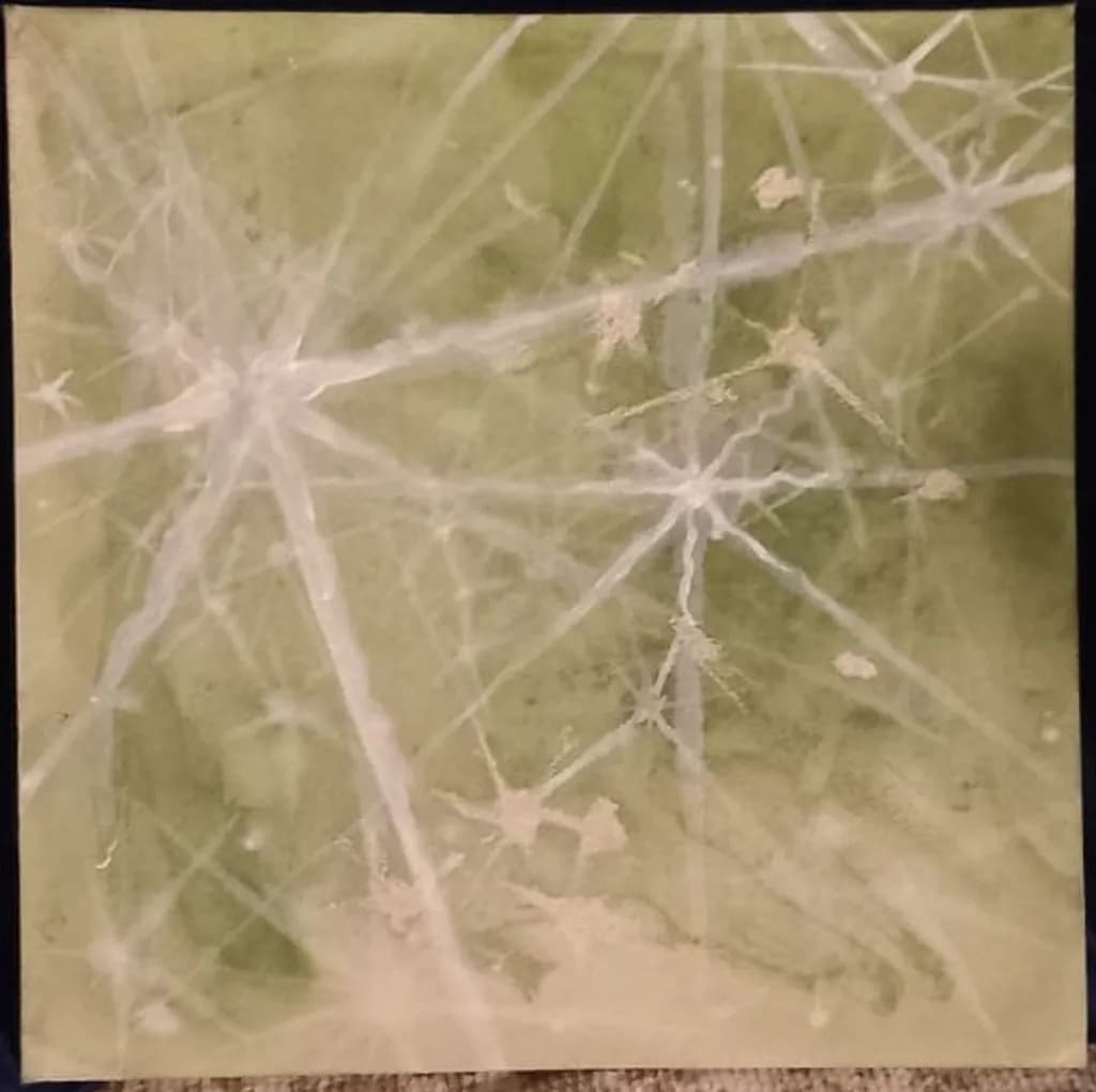 Connection