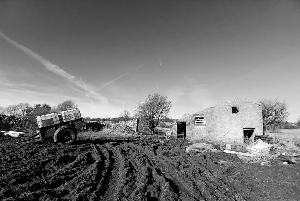 Mud Tracks