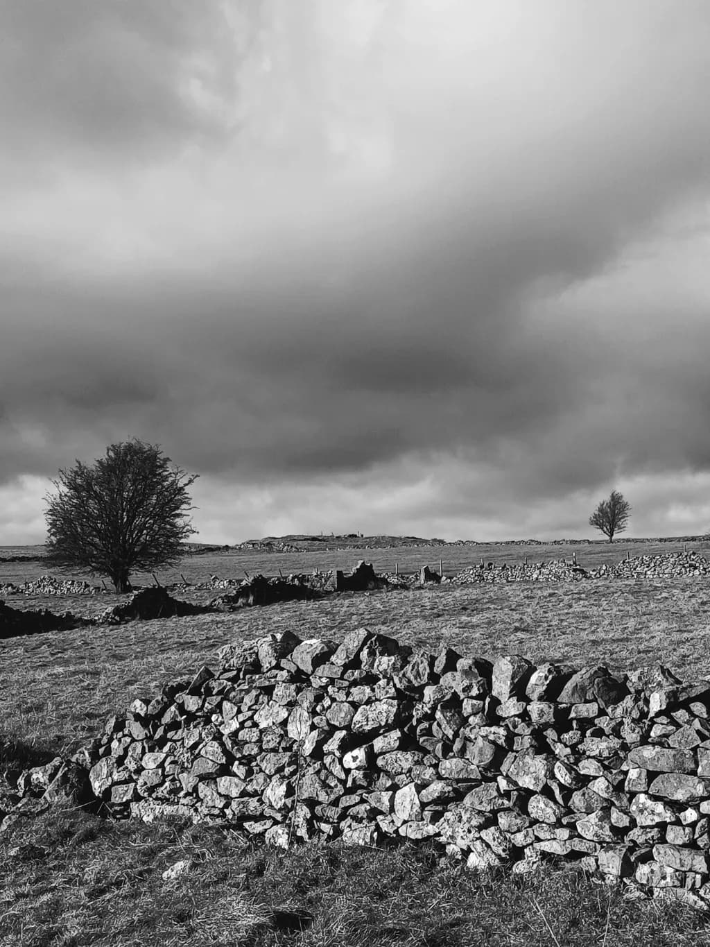 Stone Bound Horizon
