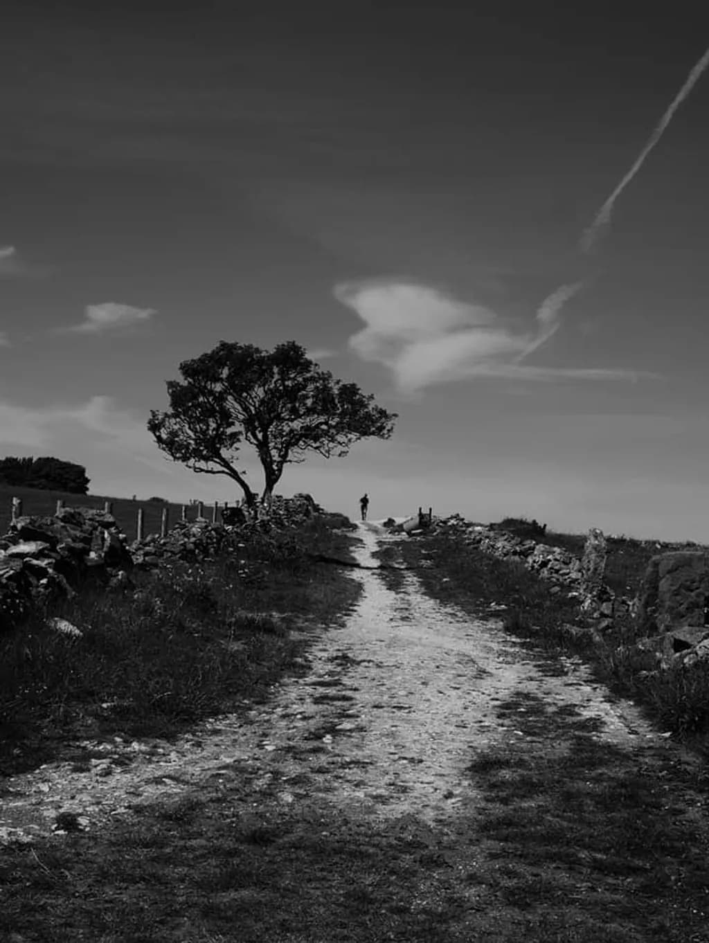 Lone Path