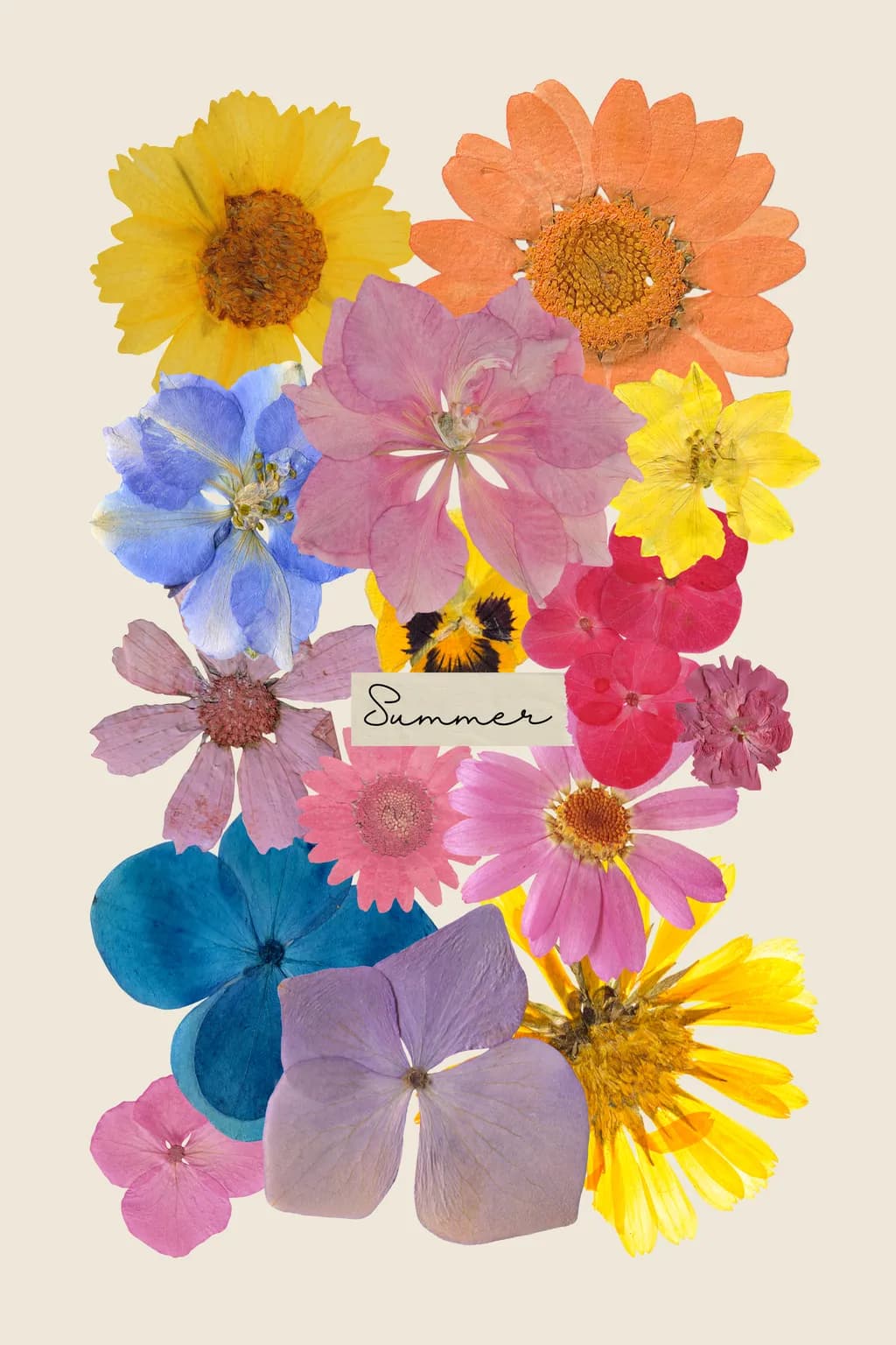 Summer Blooms