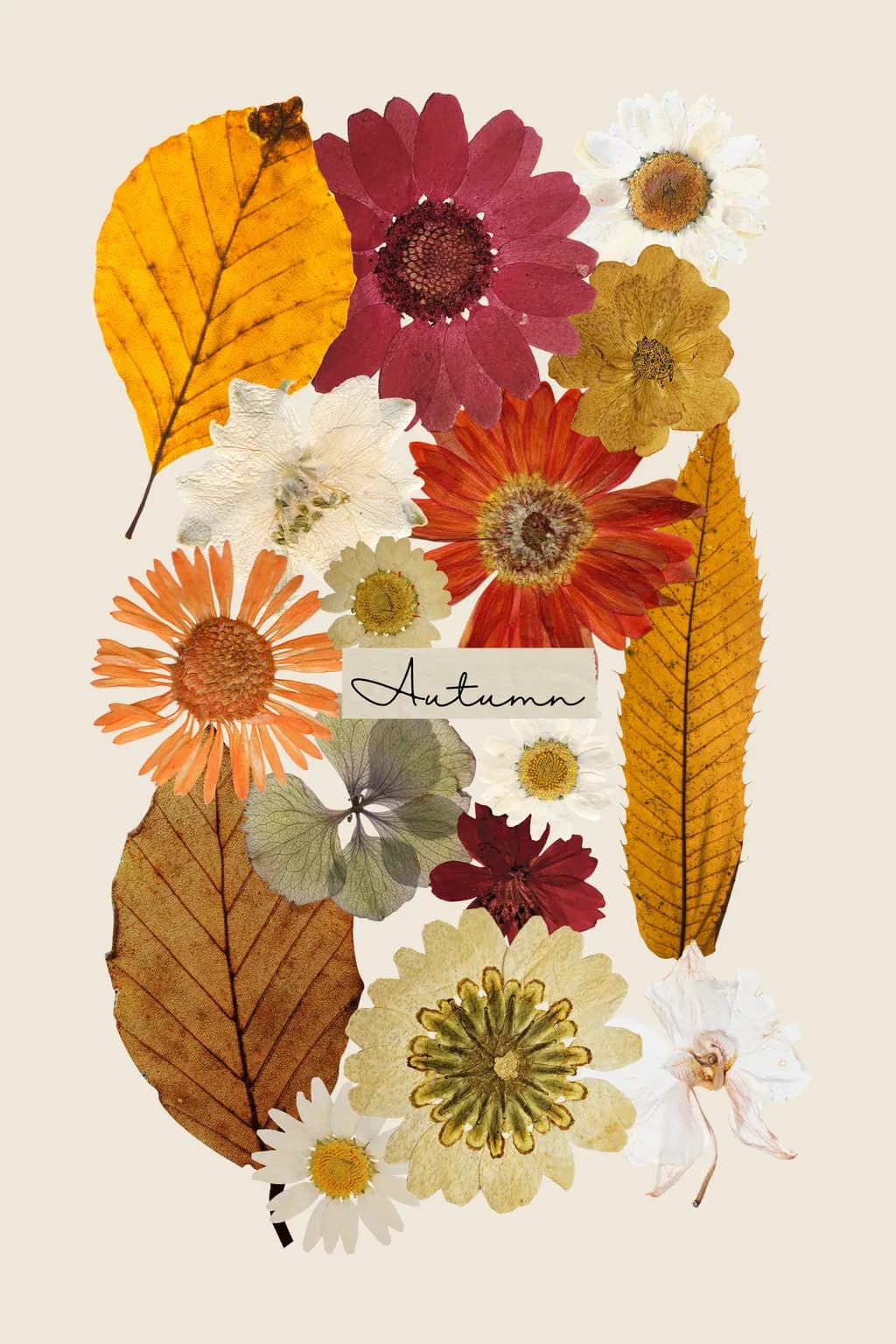 Autumn Arrangement