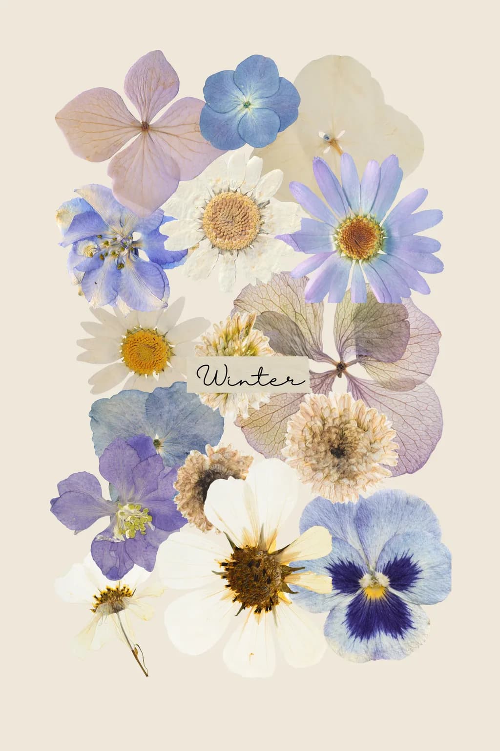 Winter Blooms