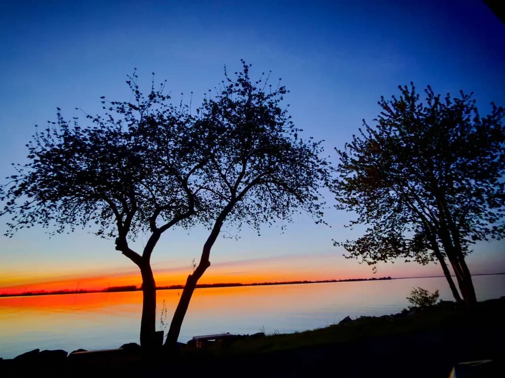 Sunset Silhouettes