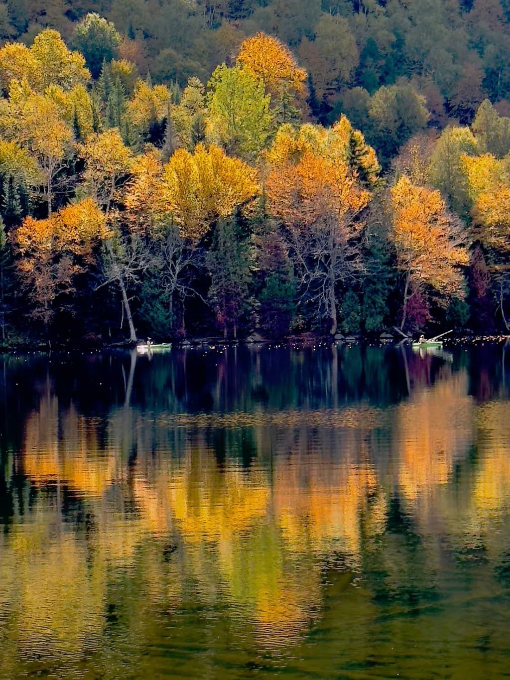 Autumn Reflections