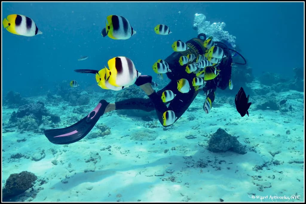 Tahiti Dive