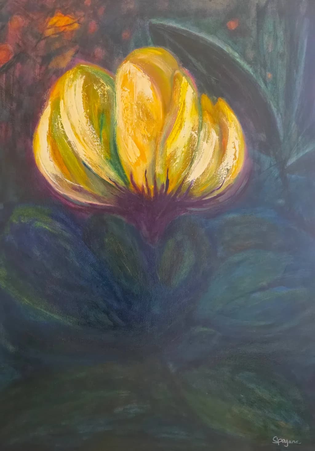 Hope Awakened