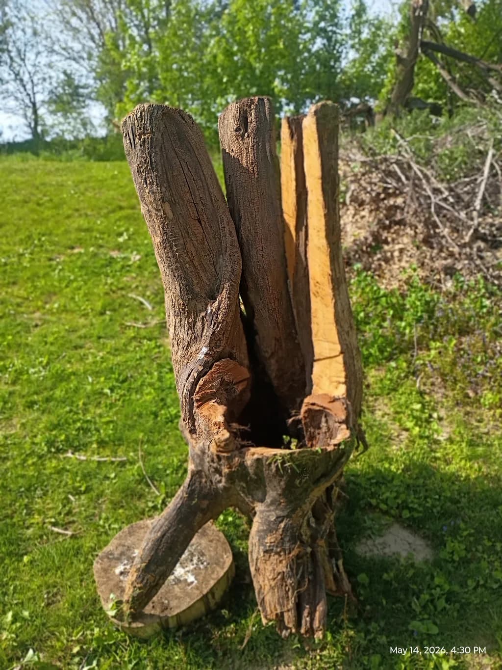 Weathered Wood Sculpture