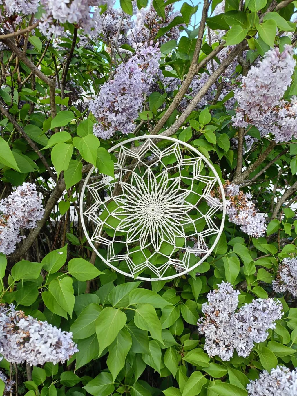 Lace Mandala Among Lilacs