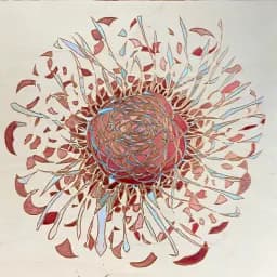 Blooming