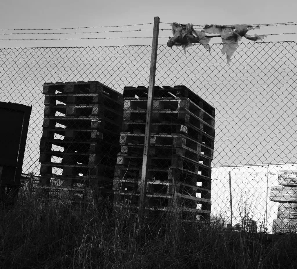 Forgotten Stacks