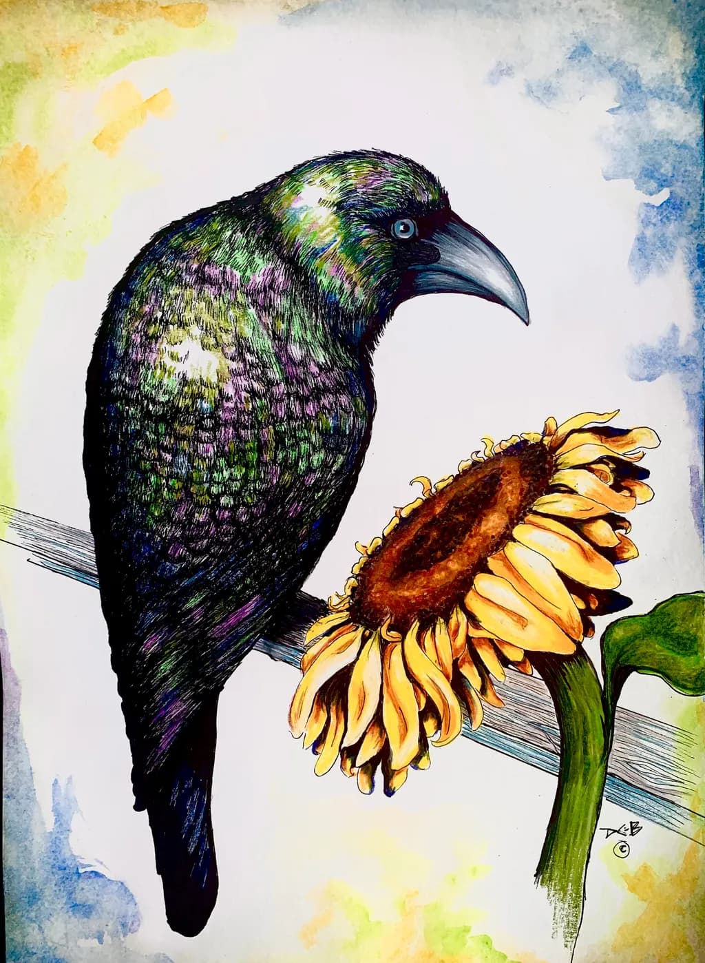 Iridescent Crow and Sunflower