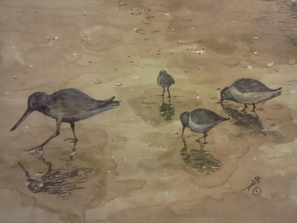 Tidal Foragers