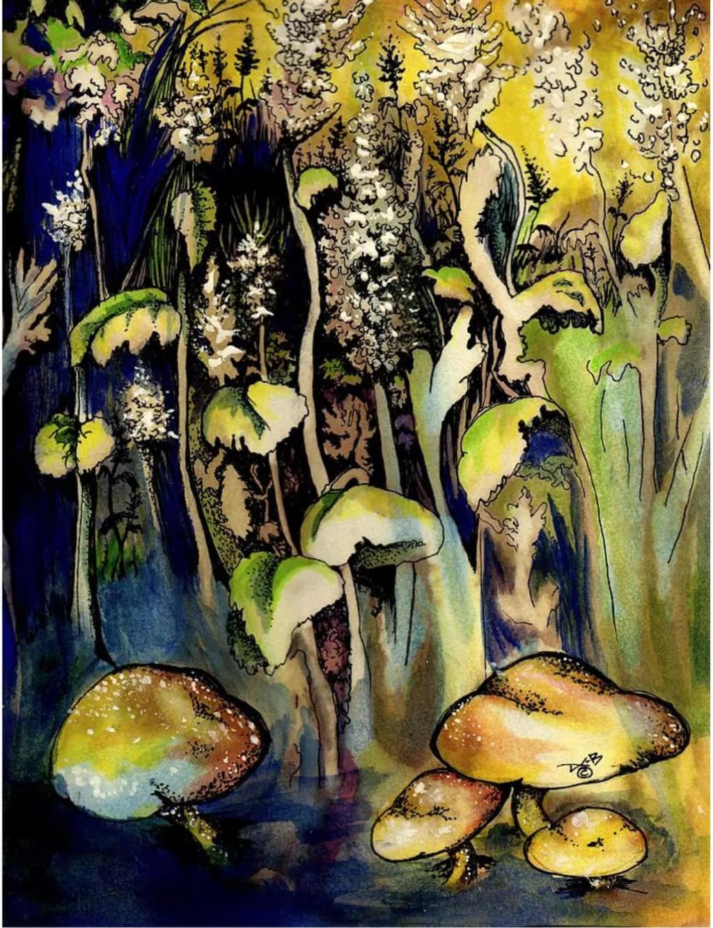 Forest Fungi