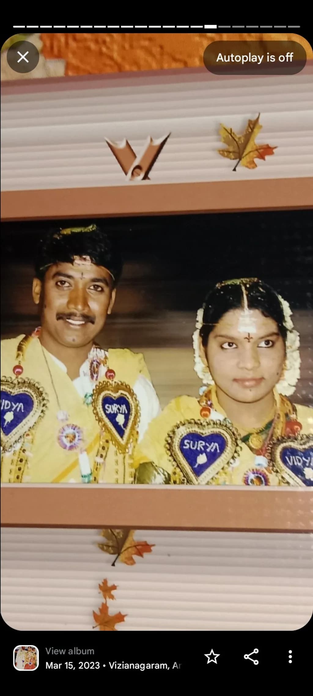 Surya and Vidya Wedding Portrait