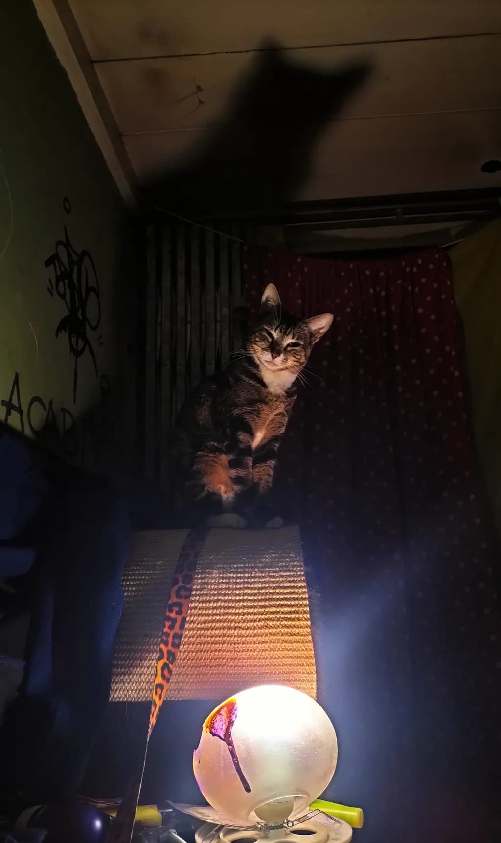 Shadow Guardian