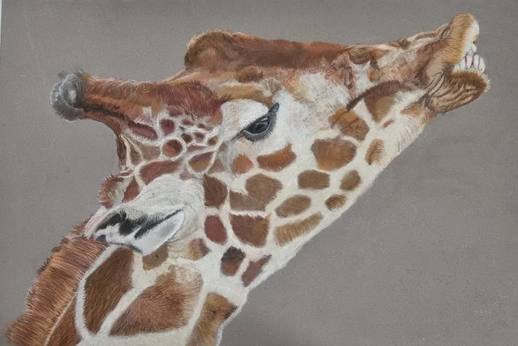Geoff the Giraffe