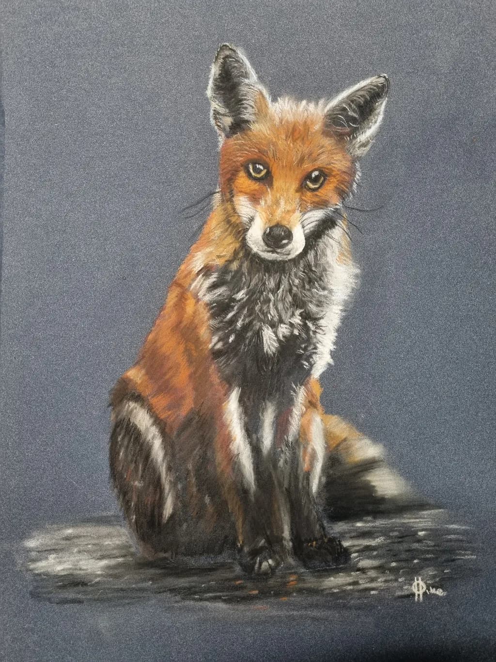 Watchful Fox