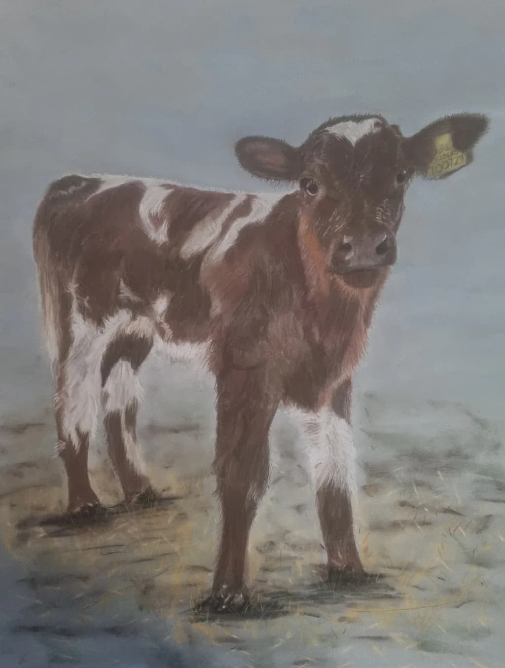Young Calf Study