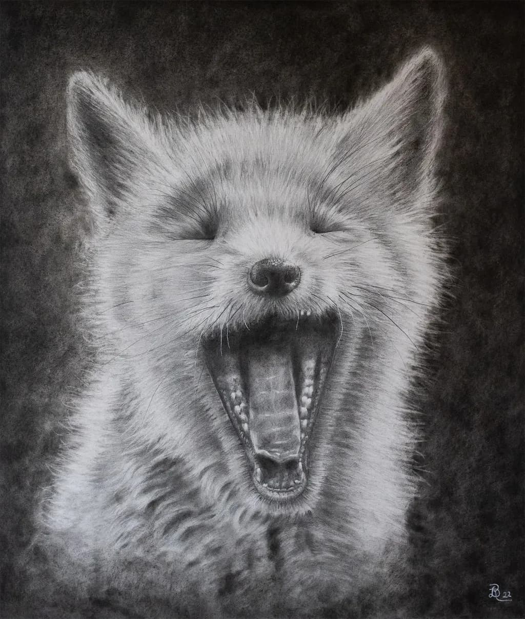 Wide-Mouthed Yawn