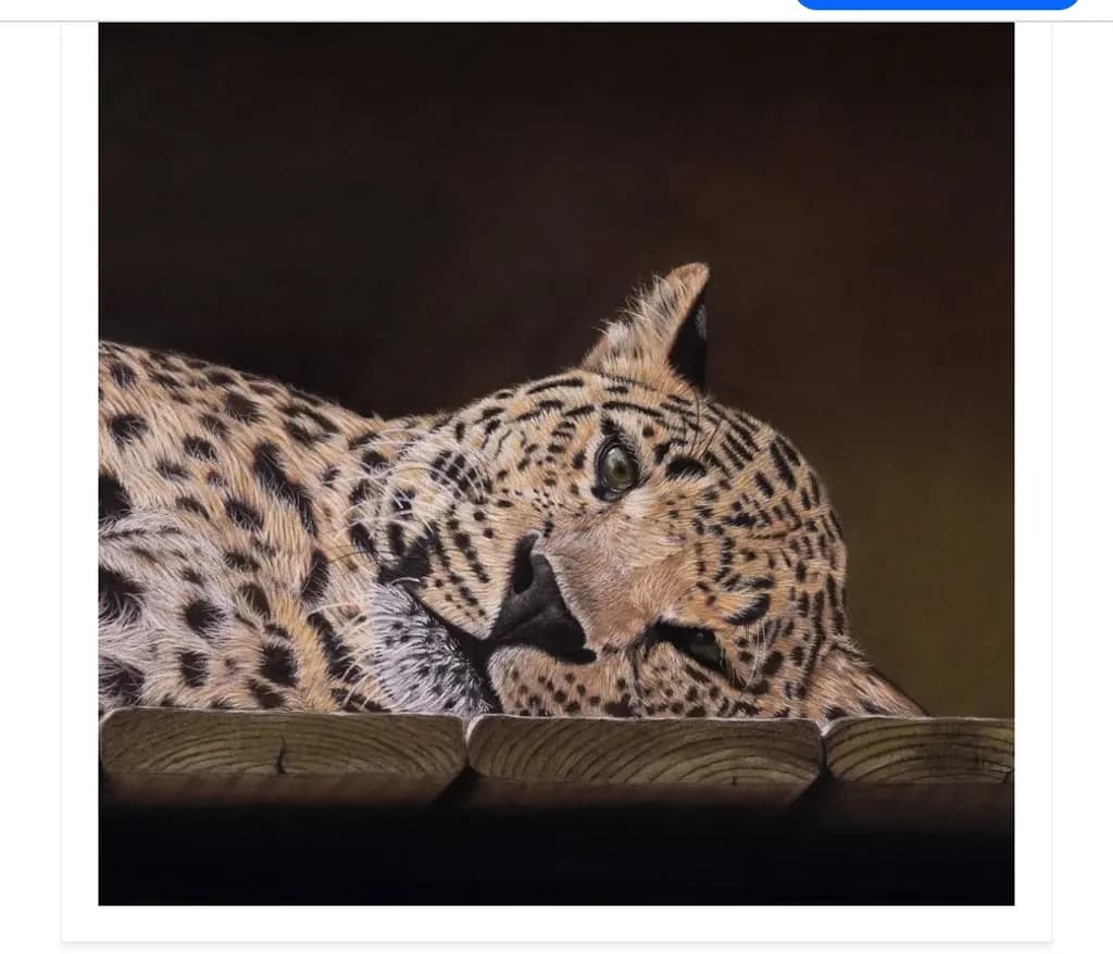 Resting Leopard