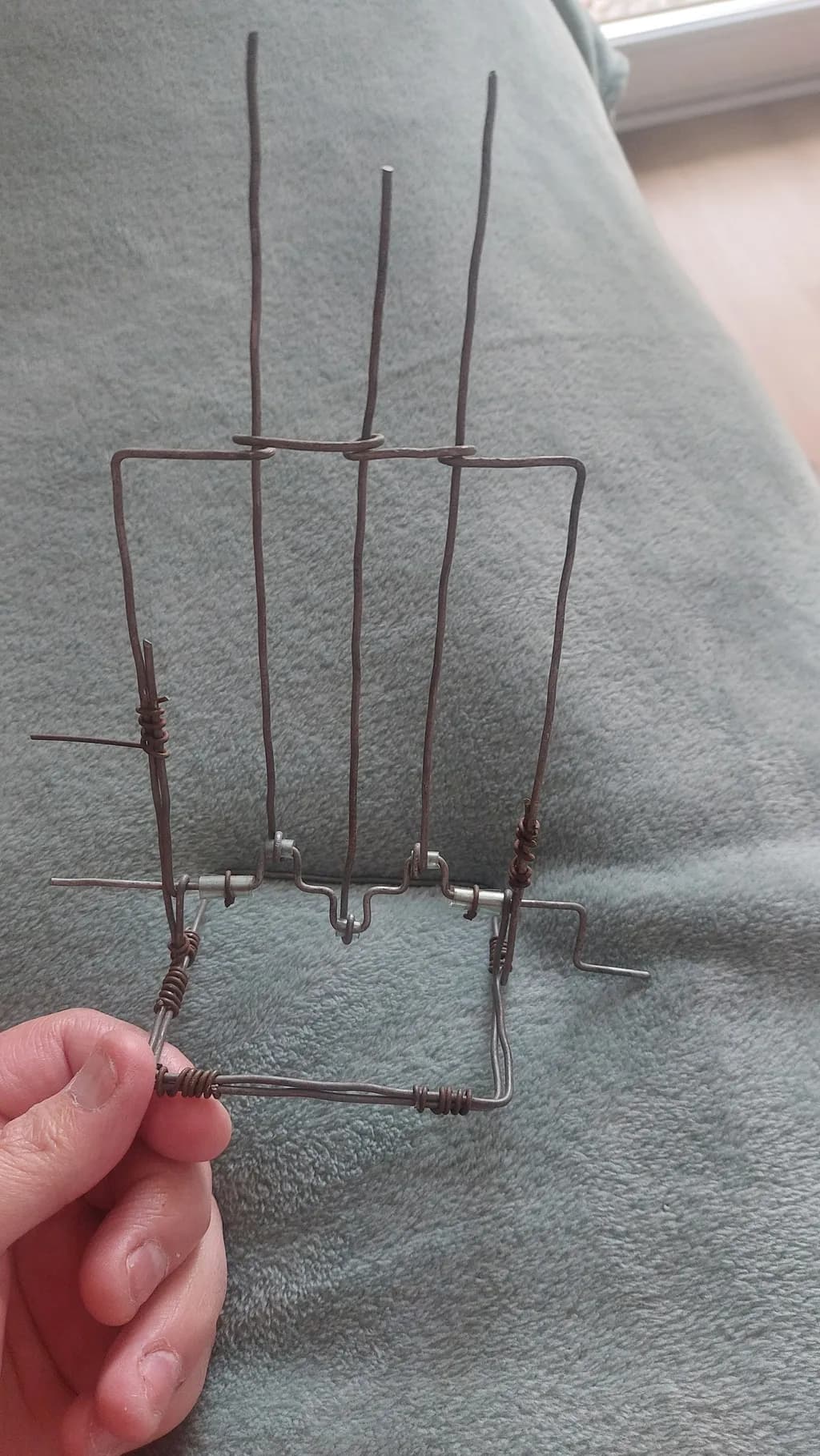 Wire Frame Structure