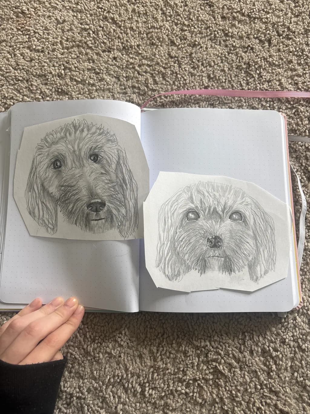 Curly Companions