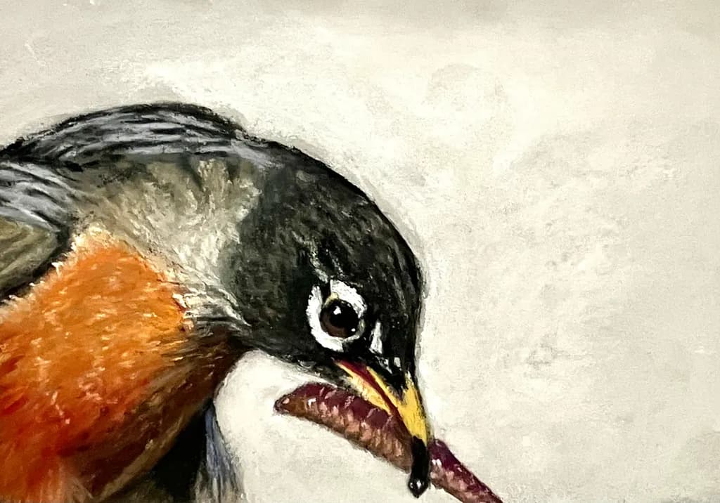 Robin Portrait