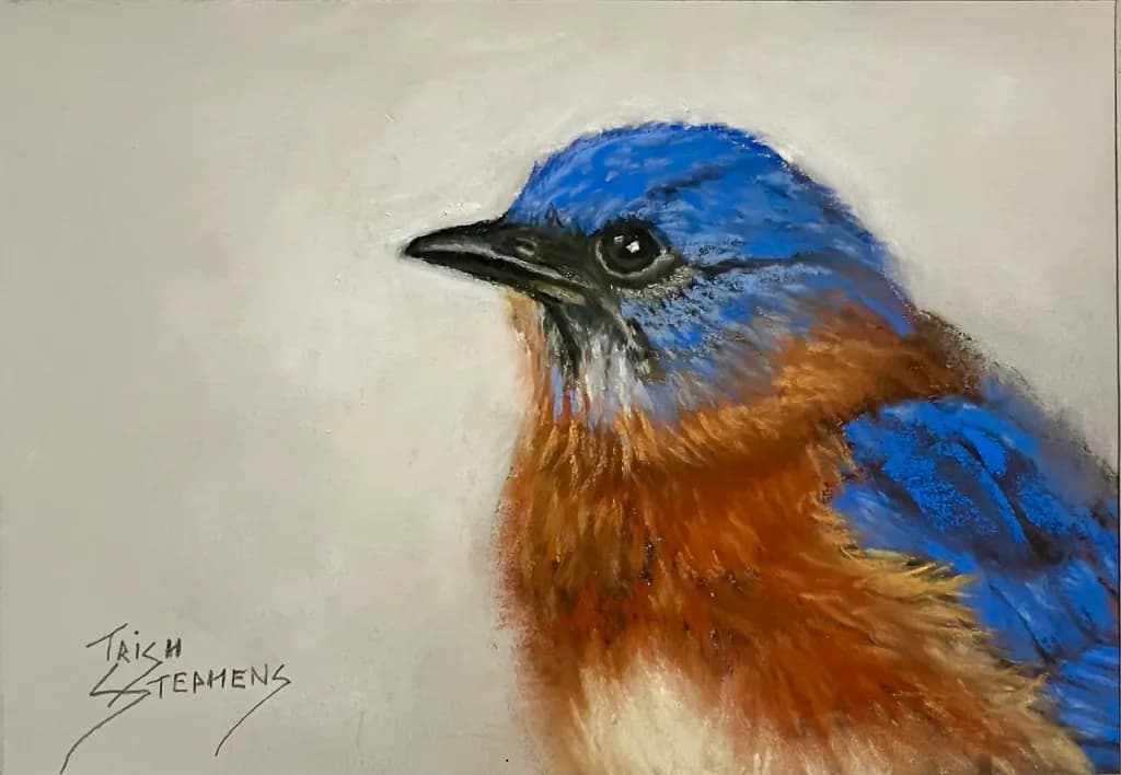 Bluebird Close-Up
