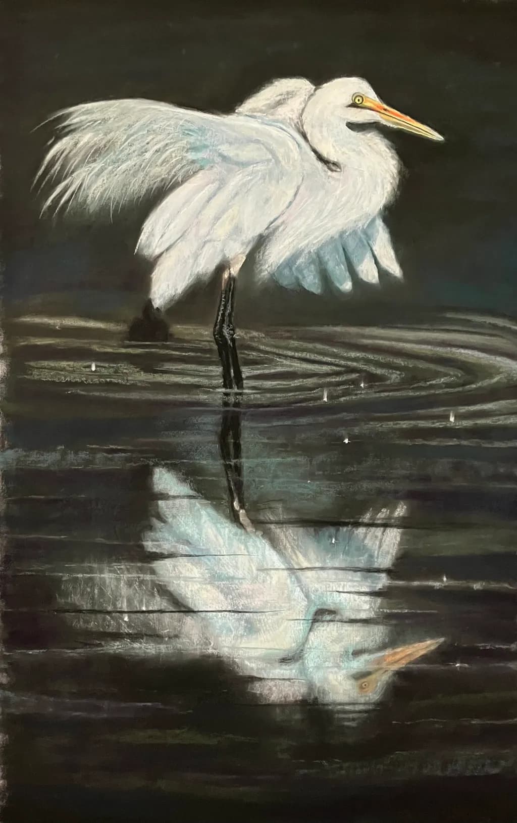 Egret Reflection