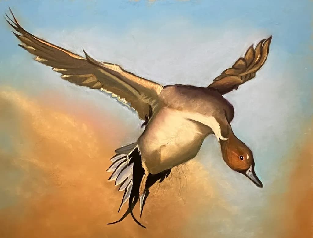 Duck in Flight