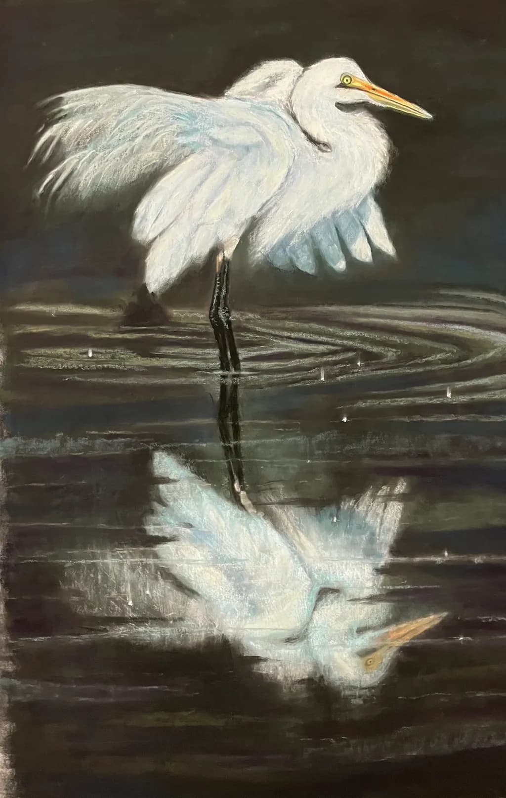 Egret Reflection