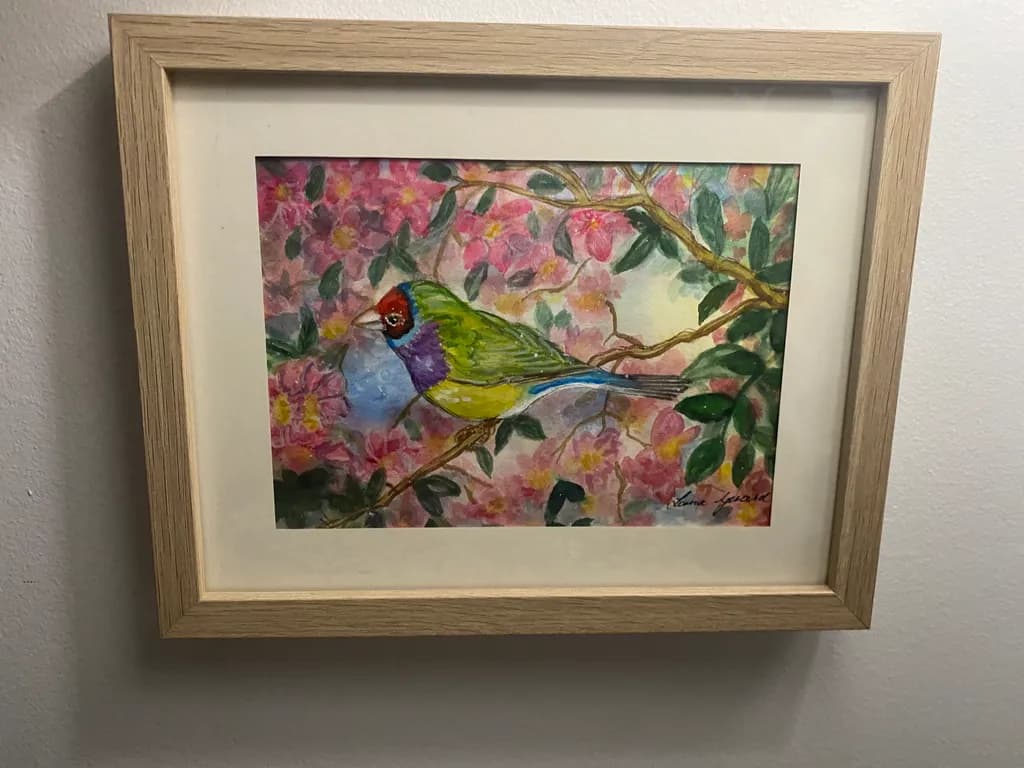 Garden Finch