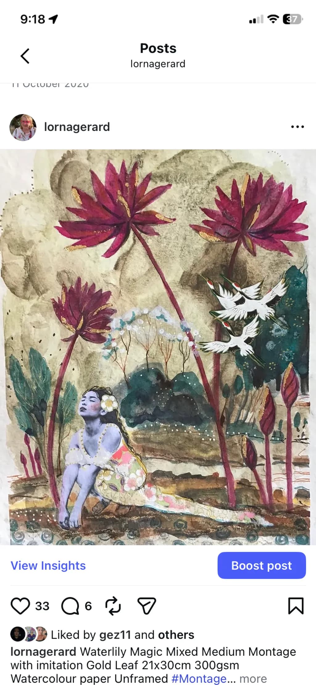 Waterlily Magic