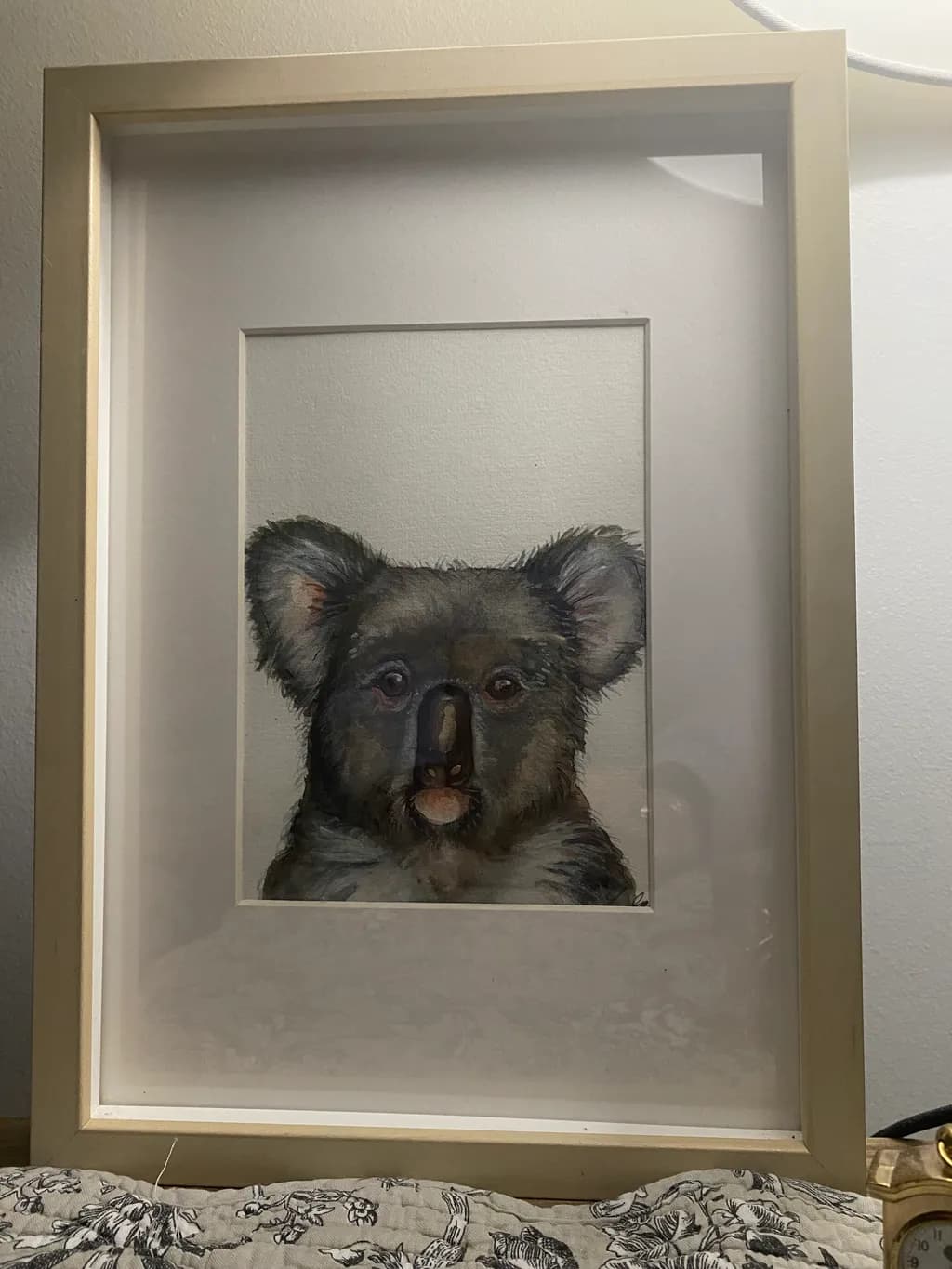 Koala Gaze