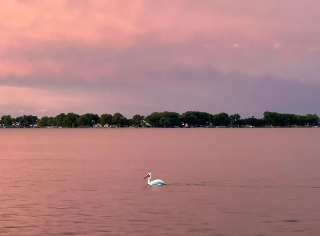 Solitary Glide
