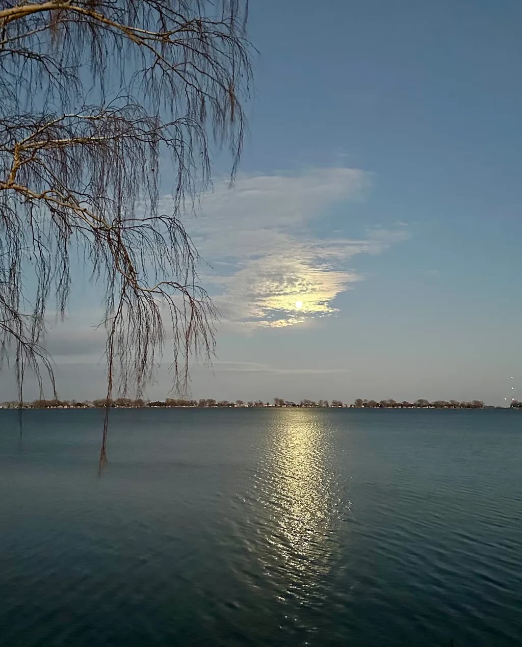 Moonlit Reflection