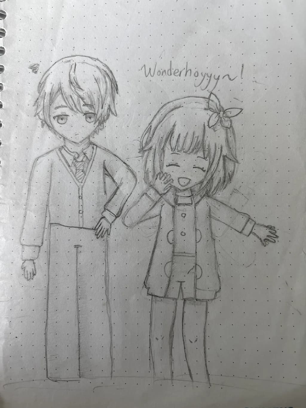 Wonderhoyyy