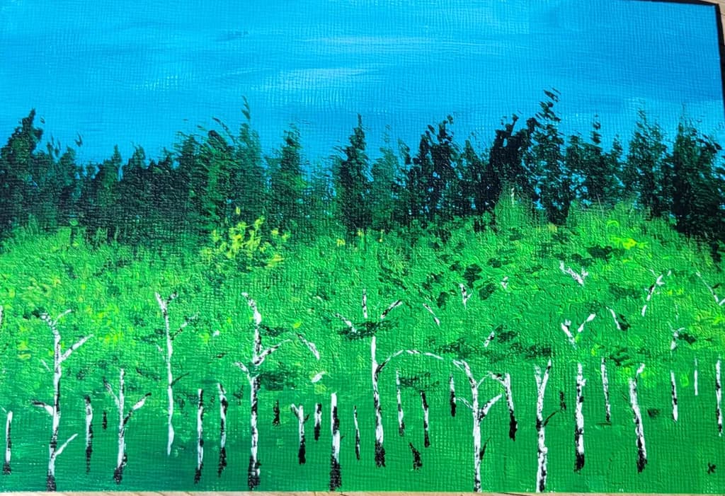Birch Canopy