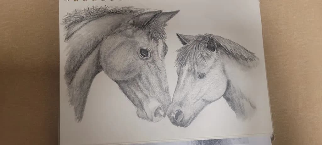 Equine Connection