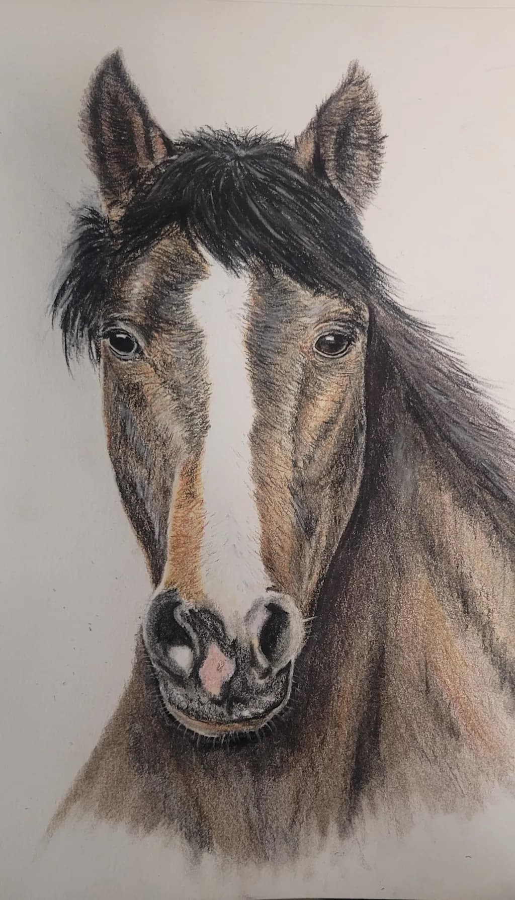 Horse Gaze