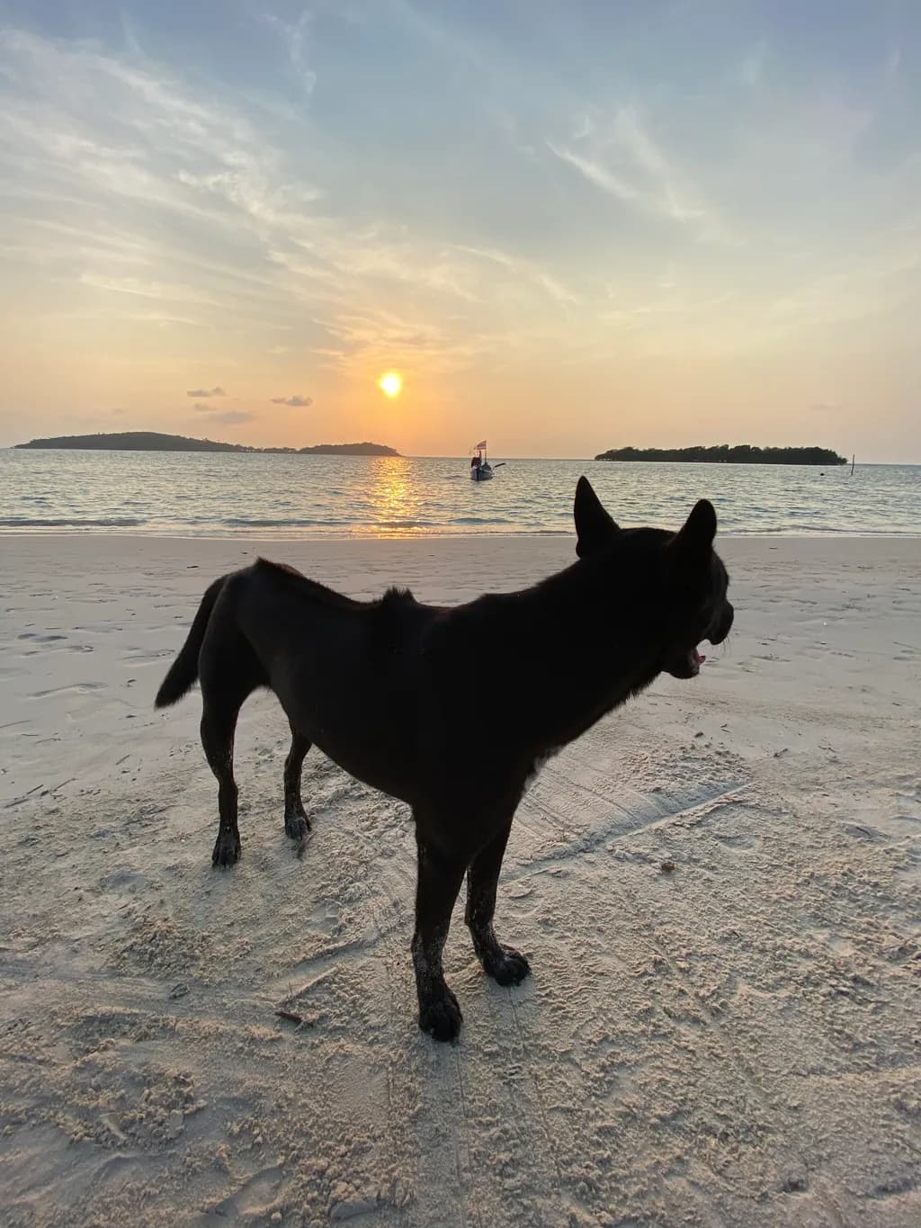 Sunset Sentinel